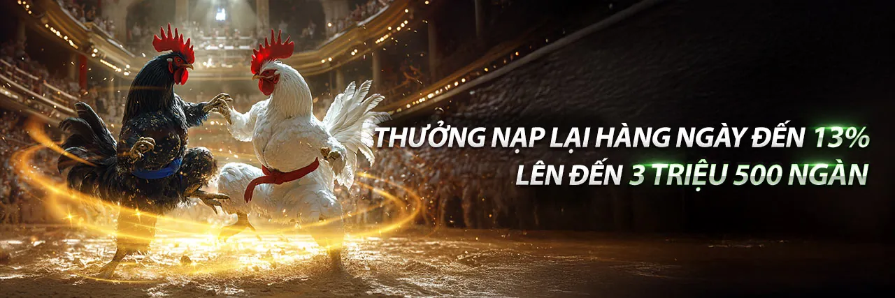 Sân vận động với khán giả đang cổ vũ, biểu tượng cho cá cược thể thao sôi động tại 555win12 code